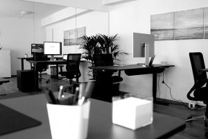 Innenansicht des AI11-Büros mit modernem Design, ergonomischen Arbeitsplätzen und reichlich natürlichem Licht.